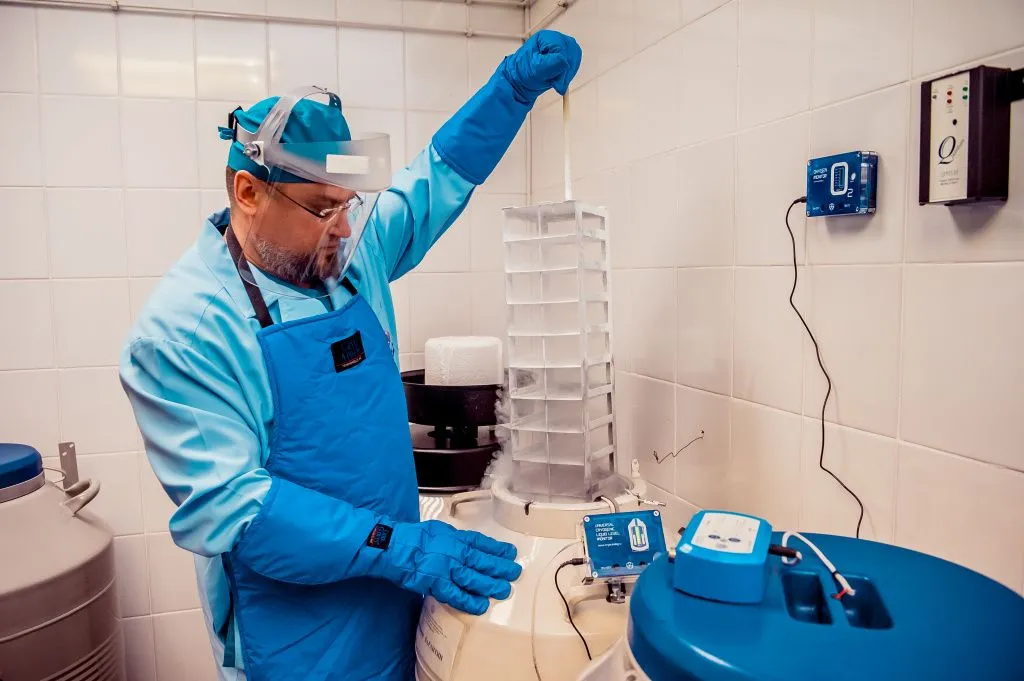 фото_3.jpg Извлечение