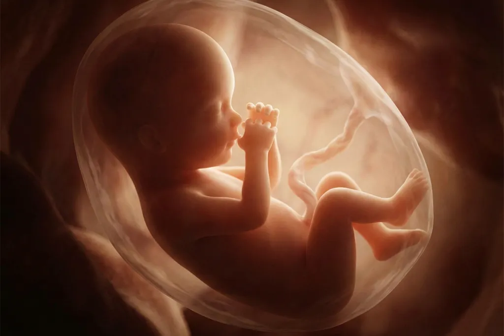 Извлечение