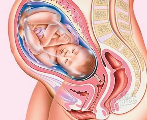 ea9d92f031f8a05ebe30f2fd040a1531.jpg Извлечение