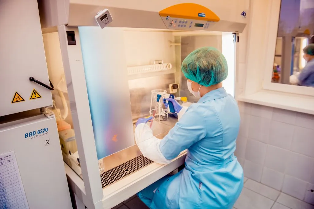 фото_1.jpg Извлечение