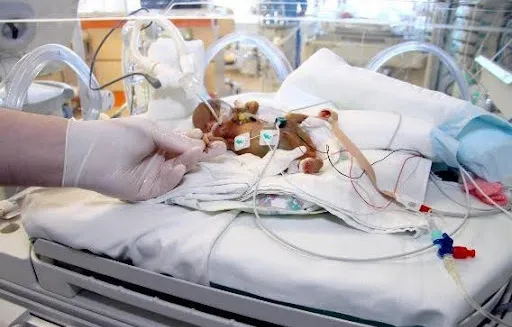 Выхаживание малышей