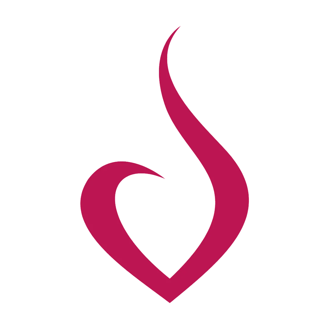 Система Вагитон