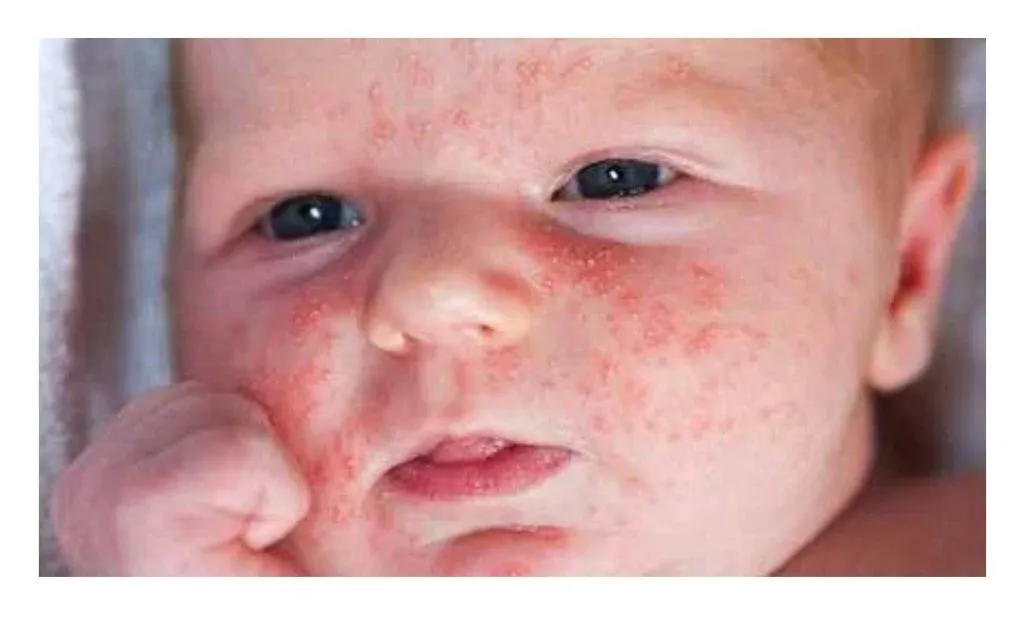 WhatsApp Image 2024-06-04 at 20.17.53.jpeg Извлечение